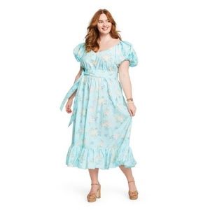 NWT LoveShackFancy Target Estelle Blue Floral Maxi Dress 14